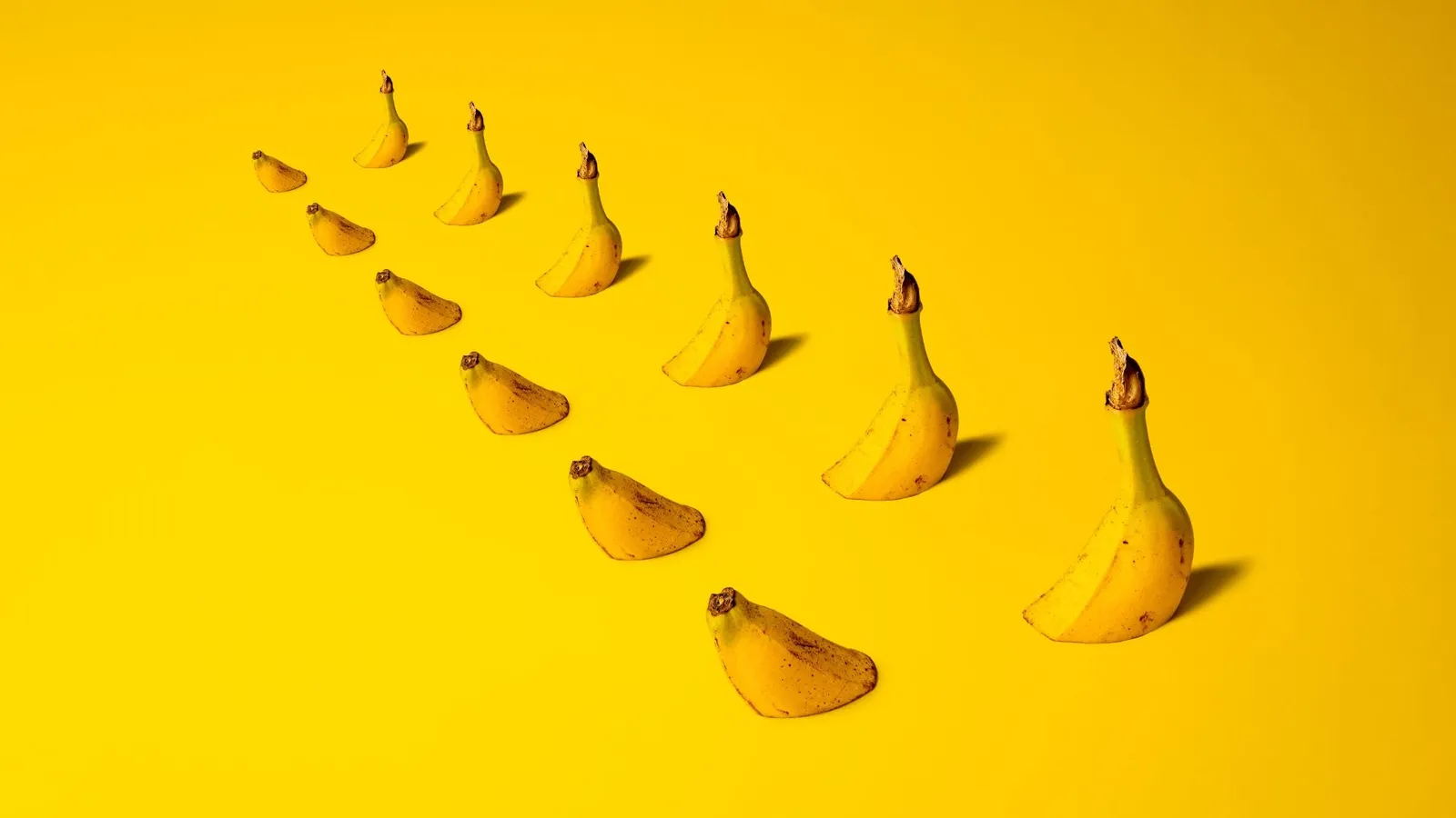 Bunches of yellow bananas arranged in a dense repeating pattern, illustrating how repetition creates unity and recognition in a composition