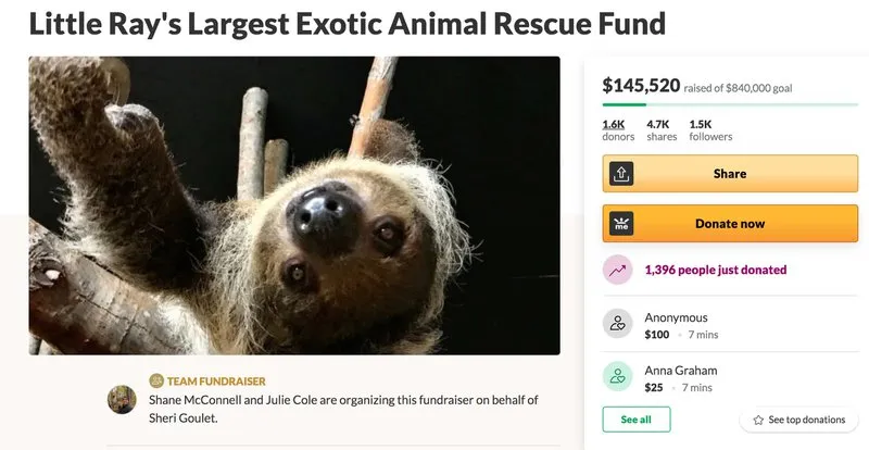gofundme page
