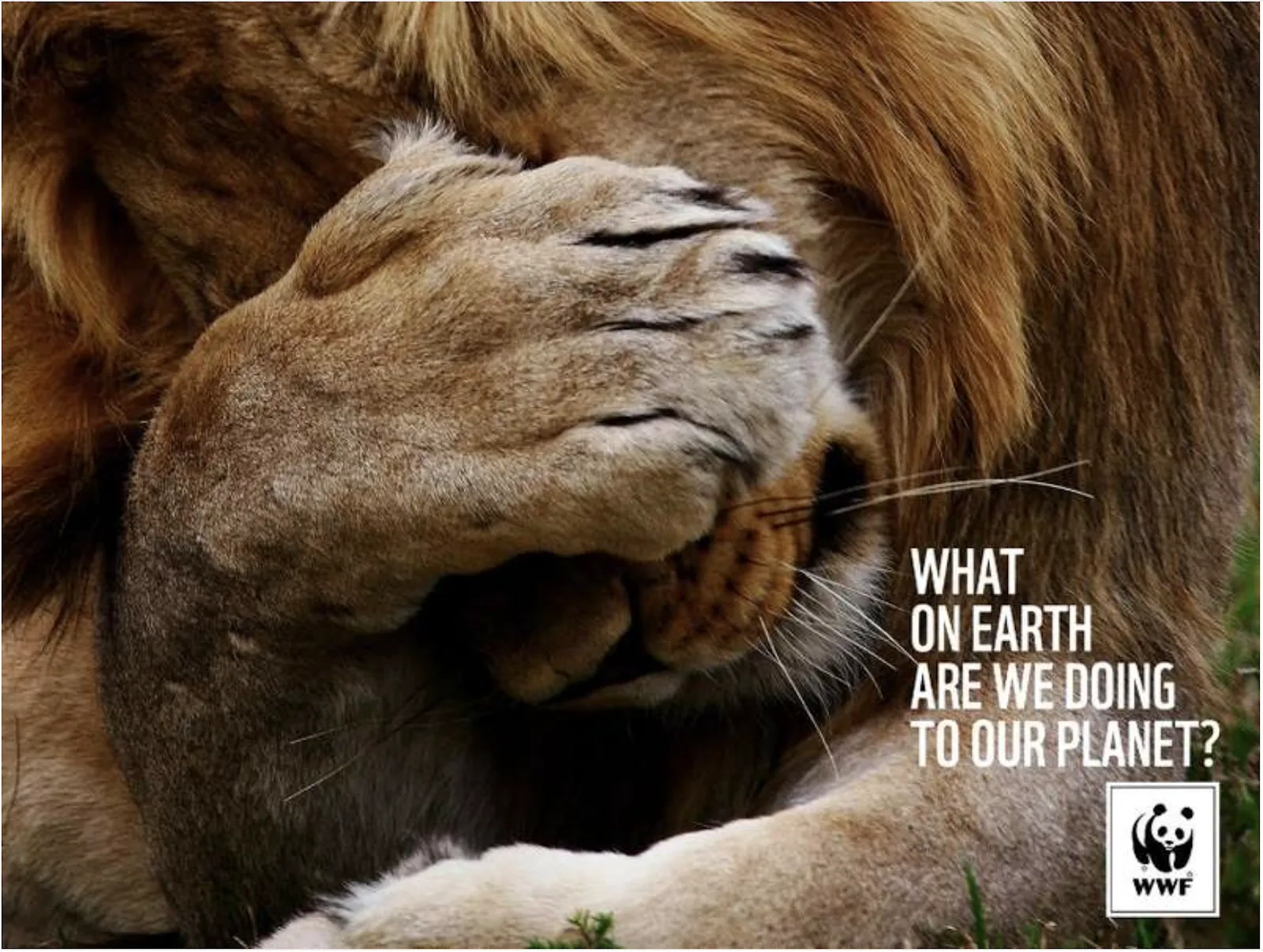 How to design for social impact? — image 9