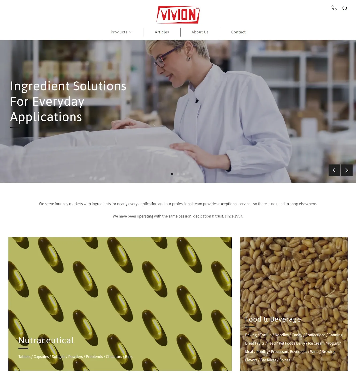 Creative Website Design: Vivion White-Themed Website Design