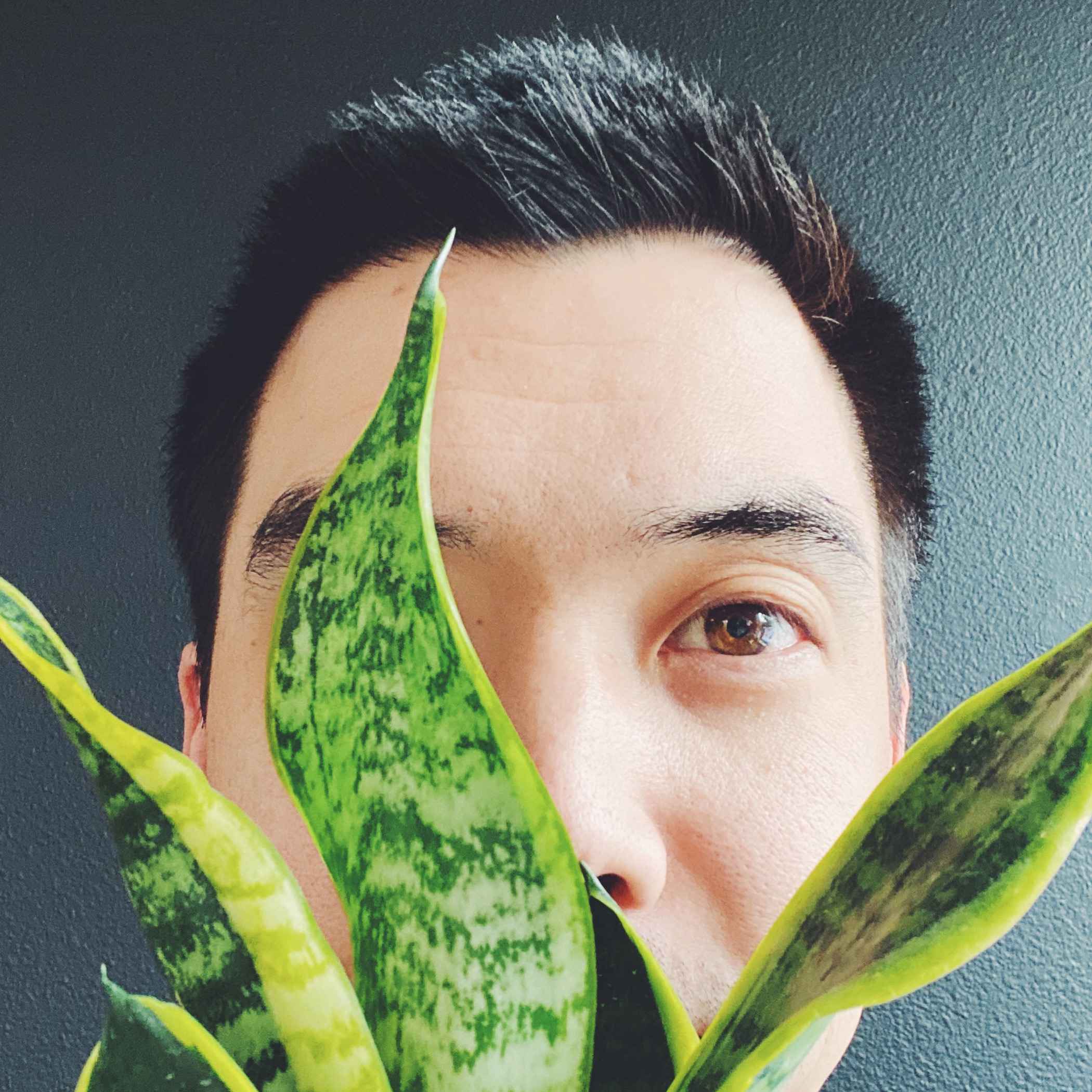 Steven Hasegawa, mentor on ADPList